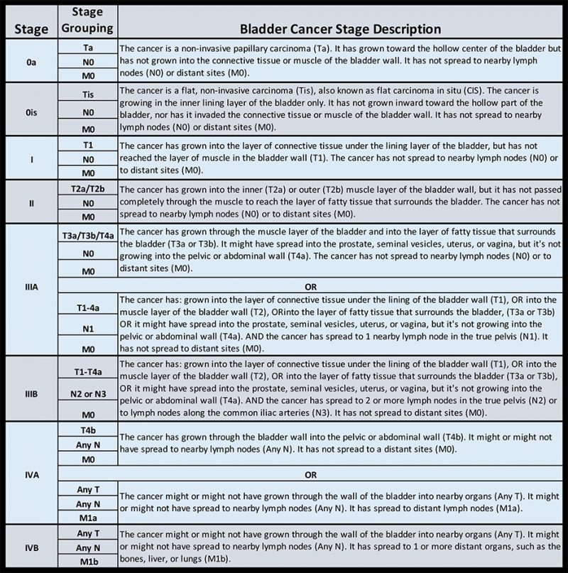 Understanding the Stages of Bladder Cancer | Berkeley Institute ...